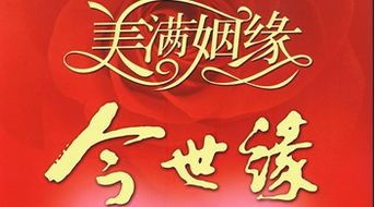 婚姻介紹服務(wù) 婚姻介紹服務(wù)圖片